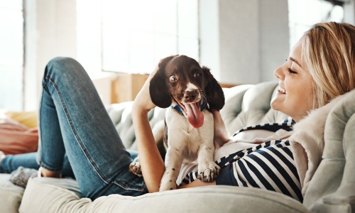 woman lies on a couch and pets her dog